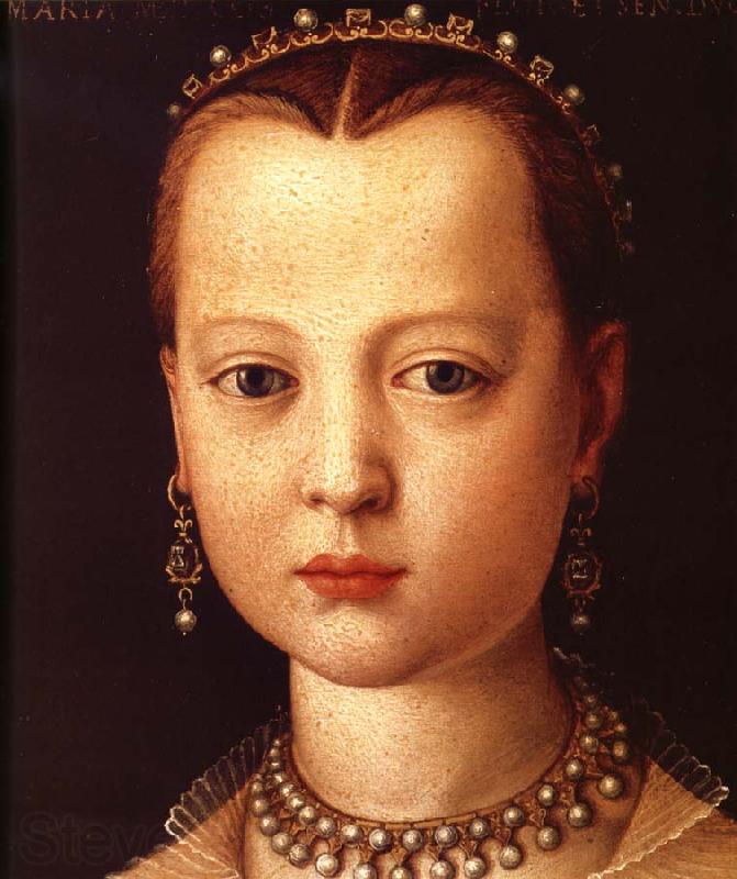 Agnolo Bronzino Portrait of Maria de'Medici France oil painting art